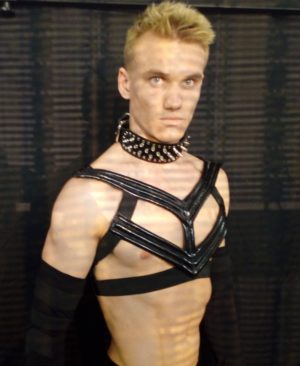 Harness
