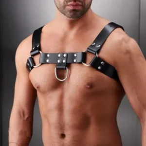 Harness